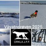 Våvatnprøven 2025 – CASIT