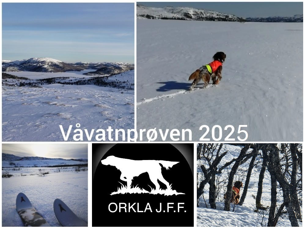 Våvatnprøven 2025 – CASIT