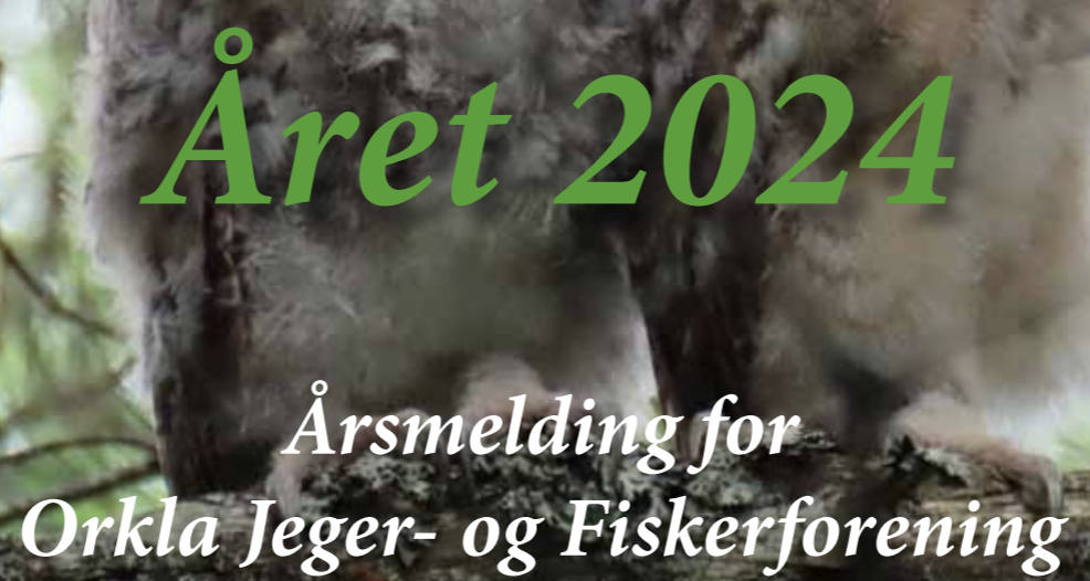 Årsmelding 2024